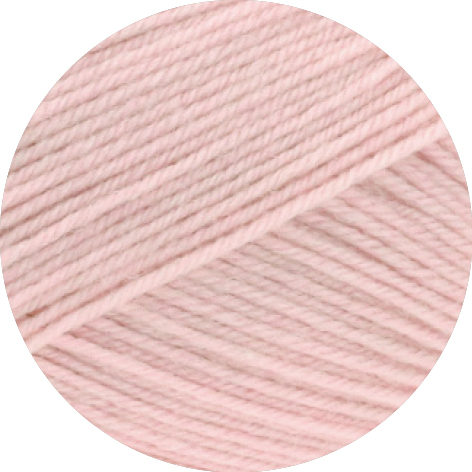 2434 | rosa