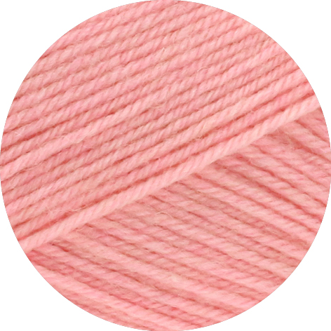 2422 | rosa